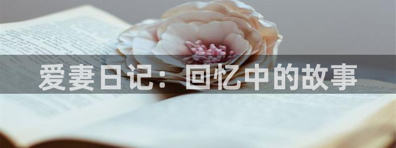 78动漫变形金刚：爱妻日记：回忆中的故事