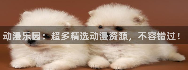 78动漫寿屋：动漫乐园：超多精选动漫资源，不容错过！