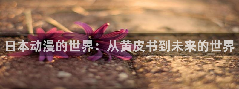 78动漫是啥：日本动漫的世界：从黄皮书到未来的世界