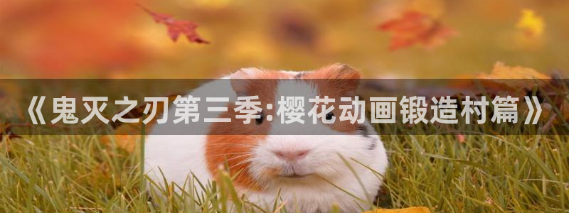 免费78动漫：《鬼灭之刃第三季:樱花动画锻造村篇》