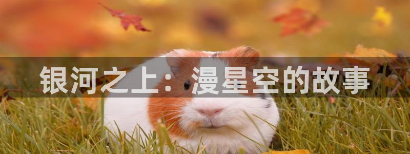 78动漫9.1版本：银河之上：漫星空的故事