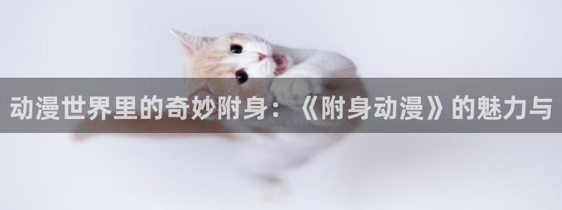 272278动漫：动漫世界里的奇妙附身：《附身动漫》的魅力与