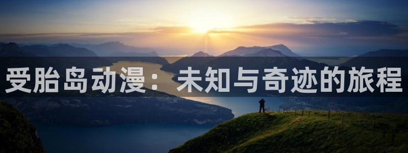 78动漫 十佳：受胎岛动漫：未知与奇迹的旅程